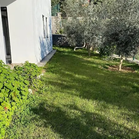 Dream Villa Gocheck Villa