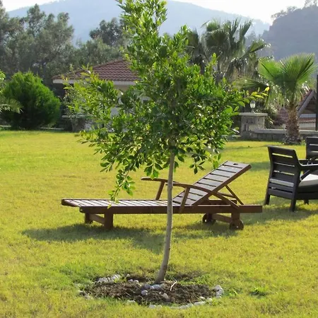 Dream Villa Gocheck Villa