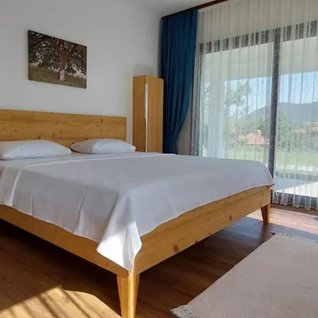 Dream Villa Gocheck Villa *